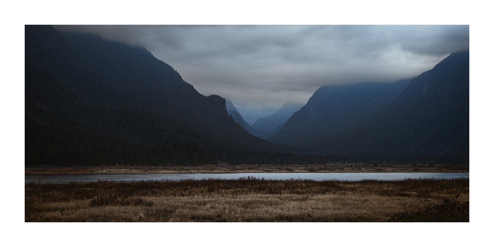 V, Print
