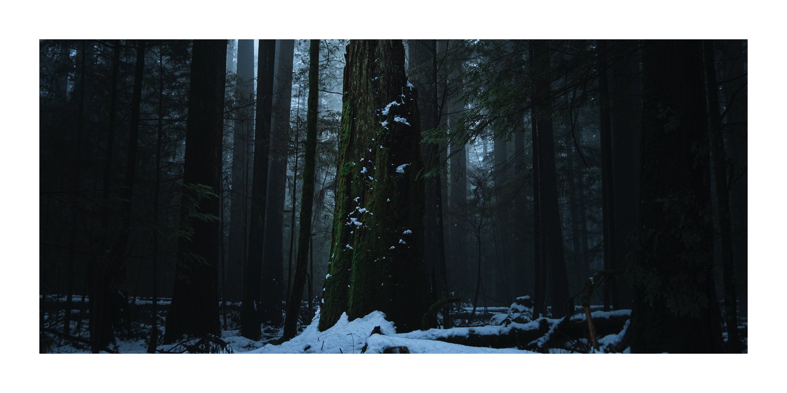 Winter, Print